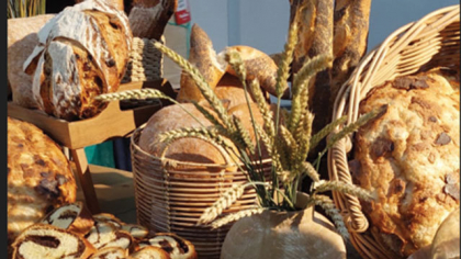 Ferma agricolă Panifcom din Iaşi, deţinută de antreprenori locali, a ajuns la afaceri de 63 de milioane de lei în 2024