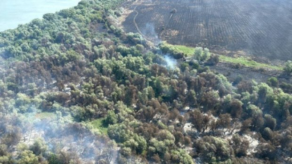 Pompierii continuă intervenția pentru stingerea incendiului din Chilia Veche, județul Tulcea. Elicopterul Black Hawk a aruncat peste 7 tone de apă