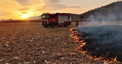 Incendii scăpate de sub control! Flăcările amenință case, păduri și culturi agricole. Localnic: „E strigător la cer!”