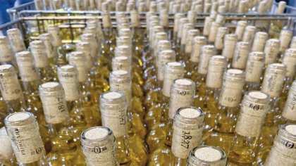 Bursă. Ce semnale au indicat preluarea Purcari de către Maspex. Polonezii au considerat că Purcari ar trebui evalută cu 50% mai sus faţă de piaţă