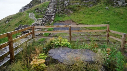„Idioții” care au tăiat copacul de sute de ani „Sycamore Gap” au fost condamnați la închisoare. Cei doi au spus că l-au retazat pentru că erau beți