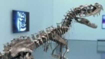 Scheletul unui dinozaur tânăr și cel mai mare meteorit de pe Marte sunt scoase la vânzare pentru milioane de dolari