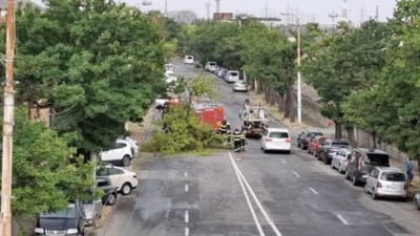 O furtună violentă a făcut prăpăd în Timiș. O femeie a fost rănită după ce un acoperiș a fost smuls de vânt și aruncat peste ea. Zeci de copaci puși la pământ și mașini avariate VIDEO