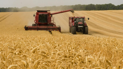 România este principalul exportator de grâu din Europa, peste Franţa. Se estimează producţie record şi pentru sezonul următor