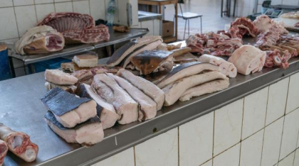 Românii deja rezervă porc românesc de Crăciun la crescătorii de animale. Mulți sunt deja „sold-out”. Cât costă acum un kg de carne