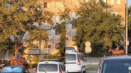Bărbat filmat când se plimba cu calul pe pista de biciclete, în Focșani. Polițiștii îl văd și încep să alerge după el. Ce amendă a luat