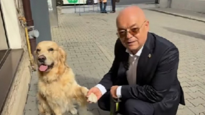 Clujenii pot intra cu animalele de companie în clădirea Primăriei. Ce reguli trebuie să respecte