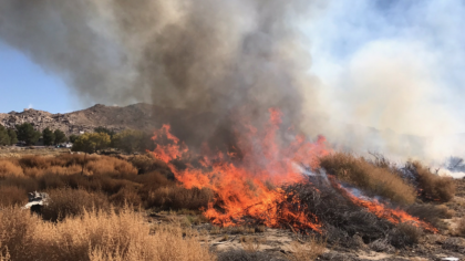 Insula Chios, în stare de urgență: incendii necontrolate amenință locuințe, rețeaua electrică și culturile de mastic