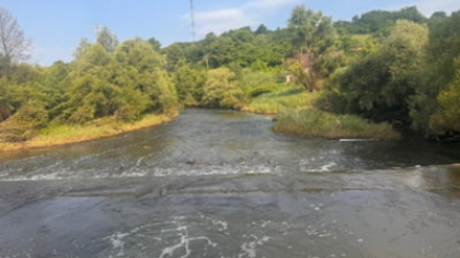 Dezastrul de la Salina Praid este nimic pe lângă ce se întâmplă cu râul Târnava Mică, avertizează Garda de Mediu. "Ecosistemul este distrus. Nu mai trăiește absolut nimic"