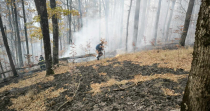 Atenție unde încingeți grătarul, la iarbă verde! Amenzi uriașe pentru cei care provoacă incendii de vegetație