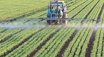 Problema pesticidelor: 1 din 7 e un fals periculos. Produsele din China, Ucraina și Republica Moldova domină comerțul ilicit