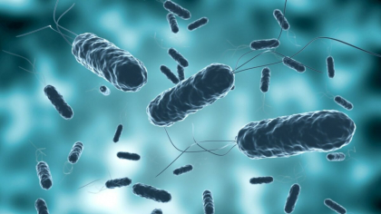 Alertă de epidemie de holeră! Bilanțul cazurilor: 58 de morți și 250 de persoane infectate în această țară