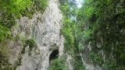 Munții, destinația preferată a verii. Zeci de turiști au făcut drumeții lângă Brașov. „Am venit la răcoare”