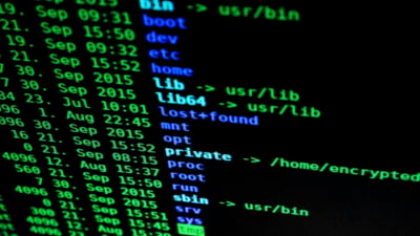 Atac al hackerilor pro-ruși în ziua alegerilor din România. Lista cu site-urile instituțiilor și candidaților vizați