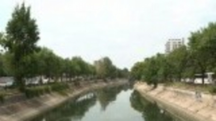 Râul Dâmvbovița, sufocat de alge. Canicula a transformat apa din Capitală într-un pericol pentru oameni. „E dezastruos”