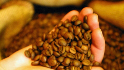 Studiu. Cafeina activează un comutator celular care ar putea încetini îmbătrânirea