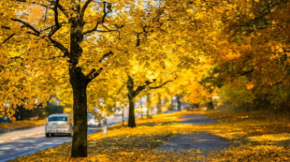 Temperaturile peste normal în următoarea perioadă. Meteorologii anunță când se va răci vremea
