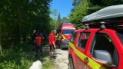 Un tânăr a fost atacat de câini în Munţii Făgăraş. „A fost muşcat foarte grav. Din păcate, căţelul lui a fost omorât”