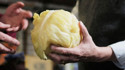 Leguma care este de 2 ori mai scumpă la raft sau în piață decât la producător