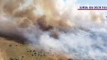 Incendiile de vegetație fac pagube considerabile. Ferme distruse și păduri mistuite în mai multe zone din țară