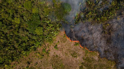 Incendiile record din Amazon au ars o suprafață cât Belgia și au emis 791 de milioane de tone de dioxid de carbon