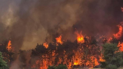 Incendii dezastruoase în Israel, aproape de Ierusalim. Franța și-a anunțat sprijinul