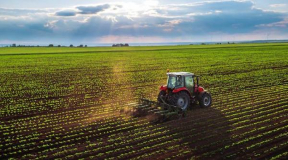 LAPAR: Producțiile record de cereale nu pot ascunde dezastrul din agricultura românească