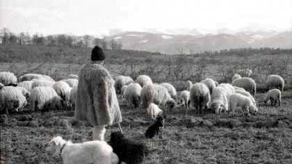 Cine a fost nobilul maghiar care s-a deghizat în cioban ca să culeagă informaţii din Transilvania: „Încetineala şi indecizia îi fac pe români să pară proşti”