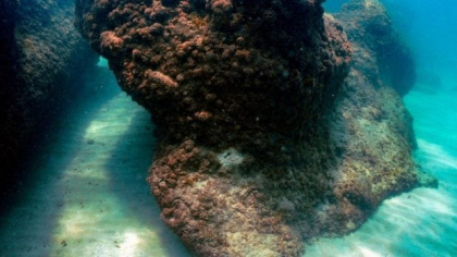Descoperire rară făcută la 500 de metri adâncime, în Marea Mediterană, cu un submarin controlat de la distanță
