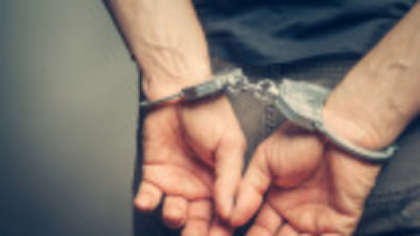 Un tată din Arad, arestat pentru violență în familie. Ani de zile și-a bătut minorii și i-a obligat să muncească la stână
