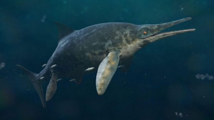 Creatură marină „stranie” descoperită în Marea Britanie ar putea dezlega un mister vechi de 184 de milioane de ani