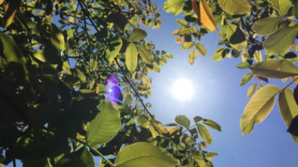 Cum va fi vremea în următoarele 4 săptămâni. Zonele unde persistă canicula