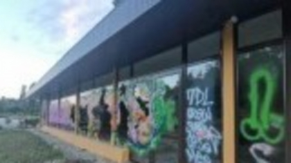 Vandalism și agresivitate, în parcurile din București. De ce sunt nepăzite de aproape 5 ani și ce șanse avem să se facă ceva