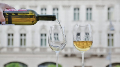 Salonul Revino Bucharest Wine Show 2025 va reuni în acest weekend 40 de expozanţi, producători de vinuri şi produse gourmet „2025 este un an al oportunităţilor pentru industria vinului din România”