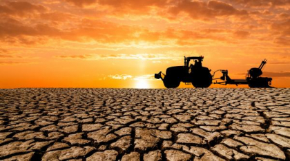Secetă cruntă în mai multe județe. Peste jumătate de țară e sub cod portocaliu de caniculă: temperaturile depășesc 40 de grade Celsius