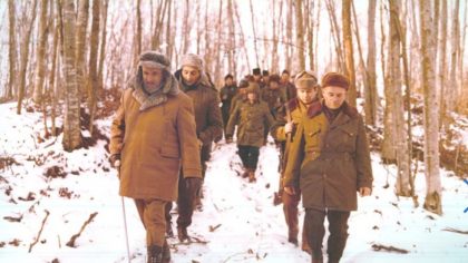 Animalul rar adus în România de Ceaușescu: Cântărește zeci de kilograme, seamană cu berbecul și poate ataca oameni