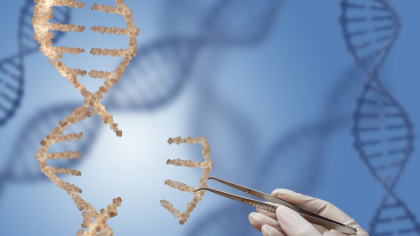 ADN uman vechi de 40.000 de ani, injectat de cercetători japonezi în șoareci. Rezultatele sunt neașteptate