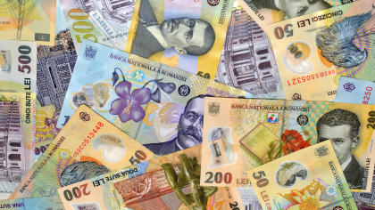 Statul îți confiscă și îți vinde totul din casă. Se achită toți banii în 15 zile. Legea valabilă în toată țara