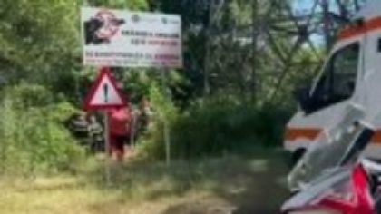 Un motociclist a fost târât în pădure și ucis de urs pe Transfăgărășan. Salvatorii l-au găsit după o oră de căutări