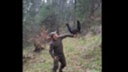 Prietenia incredibilă dintre un sucevean și un cocoș de munte, specie care nu suportă omul. Se revăd bucuroși, an de an VIDEO