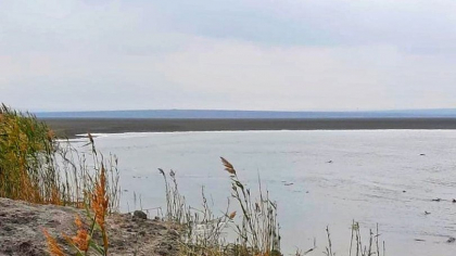 Sute de păsări rare în România au poposit pe lacul Nuntași. Oamenii, sfătuiți să stea departe. FOTO