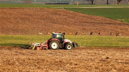 Exploatați și abandonați în Franța: 14 români, puși să muncească în condiții cumplite în 20 de ferme