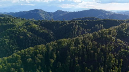 Descoperiri uimitoare în inima Munților Șureanu. Locul tainic unde stânele dacice au ieșit la iveală după două milenii
