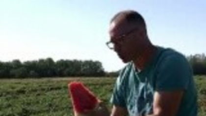 Pepenii din Dăbuleni vor fi dulci și zemoși până la prima brumă. Explicațiile fermierilor