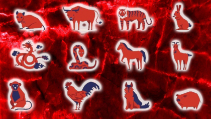 Horoscop chinezesc pentru vineri, 16 mai 2025. Zodiile care au parte de succes pe plan profesional
