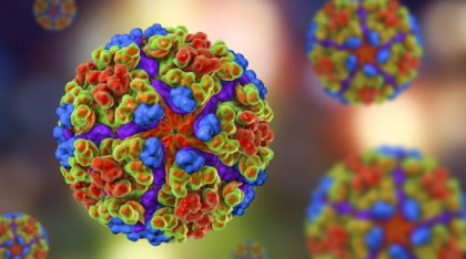 Boala chikungunya și febra denga se răspândesc cu viteză în Europa. Cauzele au fost dezvăluite de un nou studiu