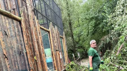 Grădina Zoologică intră în reparații