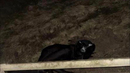 O „panteră neagră” terorizează un oraș britanic. Localnicii, îngroziți de aparițiile nocturne ale „jaguarului urban”