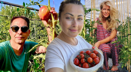 Și vedetele tv se pricep la agricultură. Dan Negru: „Nu le vând, când mă las de televiziune, mă apuc de roșii!” Micile sale trucuri