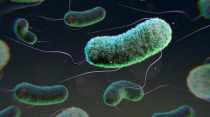 O bacterie care provoacă diaree și infecții gastro-intestinale transformă plasticul în paracetamol